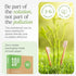 Bamboo Toothbrushes 10 Pack - Eco-Friendly, BPA Free Soft Bristles Natural Wooden Toothbrushes