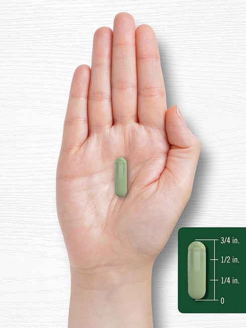 Carlyle Moringa Oleifera | 180 Non-GMO Capsules | Complete Green Superfood from Moringa Leaf Powder
