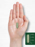 Carlyle Moringa Oleifera | 180 Non-GMO Capsules | Complete Green Superfood from Moringa Leaf Powder