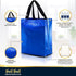Nush Nush Blue Gift Bags: Medium Size Set of 12 Shiny Reusable Bags with Handles for Goodie, Birthday, Party Favors