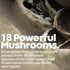 Herbtonics Mushroom Nootropic Supplement Complex, Immune System Support & Brain Function, 120 Vegan Capsules