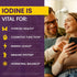 Immunity 1.67 oz WellnessOne Iodine Drops for Thyroid Support - Fast Acting Liquid Iodine Supplement from Potassium