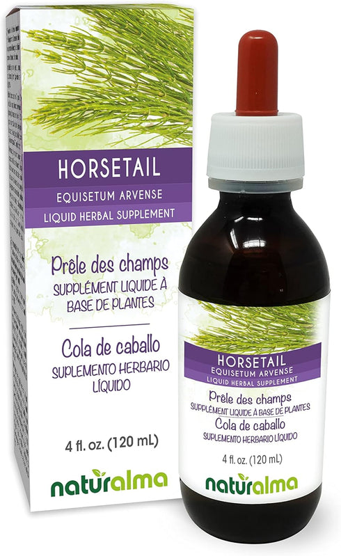 Naturalma Horsetail (Equisetum arvense) herb Alcohol-Free Tincture - 4 fl oz Liquid