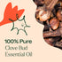 Plant Therapy Clove Bud Essential Oil 100% Pure, 30 mL (1 oz), Undiluted, Natural Aromatherapy