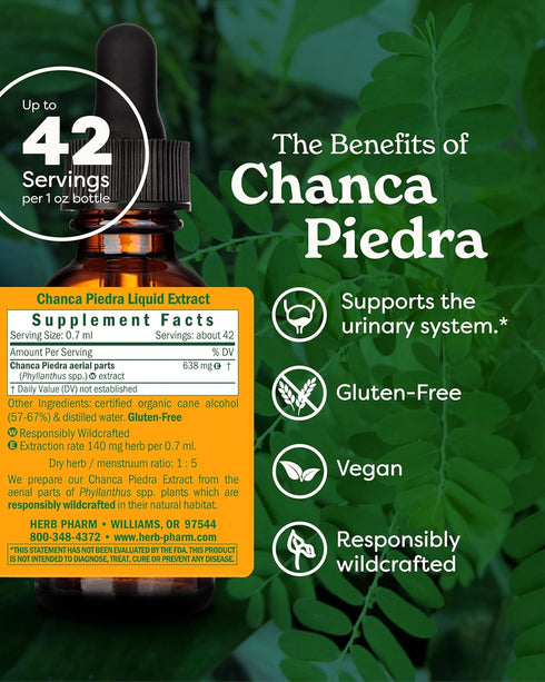 Chanca Piedra Liquid Extract for Urinary System Support, 1 Fl Oz by Herb Pharm
