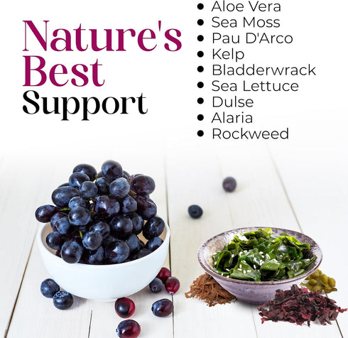 Nature’s Liquids SeaAloe Liquid Whole Food - 32 Oz Liquid Multivitamin and Mineral Supplement with Aloe Vera