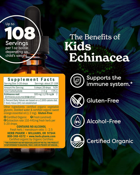 Herb Pharm Kids Certified-Organic Echinacea Glycerite Liquid Extract, Alcohol-Free, 1 Ounce