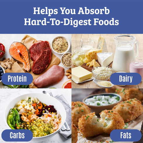 Best Digestive Enzymes for Women & Men with Lactase, Lipase, Amylase, Bromelain for Digestion & Health