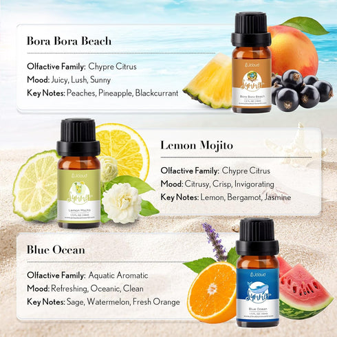 Summer Set Set 6 Summer 6x10mL JCLOUD Fragrance Oils | Hotel Diffuser Oil & Home Luxury Scents - Gift of Essential Oil
