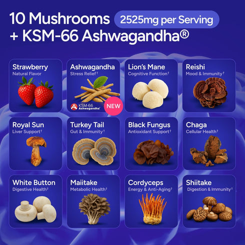 Gummies 66 10x Gummies, Sugar-Free Mushroom with KSM Ashwagandha - Potent Mushroom Supplement with Lions Mane, Chaga