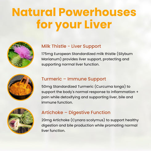 Natural Wellness Milk Thistle with Artichoke & Turmeric Advanced Liver Support Supplement for Detox, Regeneration