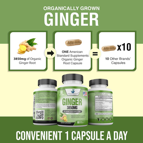 American Standard Supplements Organic Ginger 3850mg with Organic Black Pepper Extract, 90 Capsules