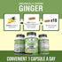 American Standard Supplements Organic Ginger 3850mg with Organic Black Pepper Extract, 90 Capsules