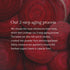 Aged Beet Root Capsules - Organic Beet Powder for Stamina, Nitric Oxide Supplement, 30 Capsules