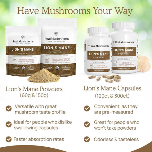 Lion’s Mane Powder - Organic Mushroom Extract with Antioxidants & Immunomodulating Properties - Vegan Supplement, 60