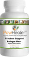 Trachea Support Dog Cough Remedy for Loud, Honking Cough - 50 Grams Powder