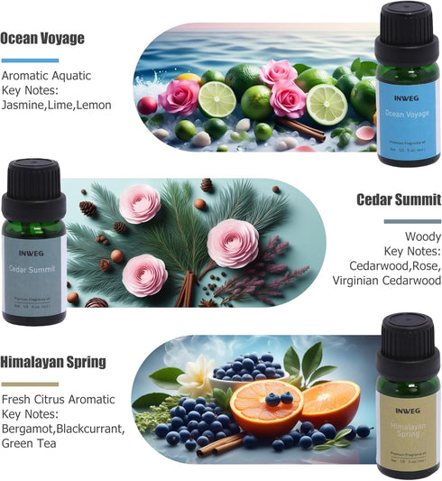 Set 6 10ML Men's Club- Gift of Premium Fragrance Oils - Fragrance Oils for Perfume, Soap & Candle Making Scents, Wild
