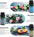 Set 6 10ML Men's Club- Gift of Premium Fragrance Oils - Fragrance Oils for Perfume, Soap & Candle Making Scents, Wild
