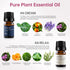 Set Aroma Diffuser Module+Essential Oil