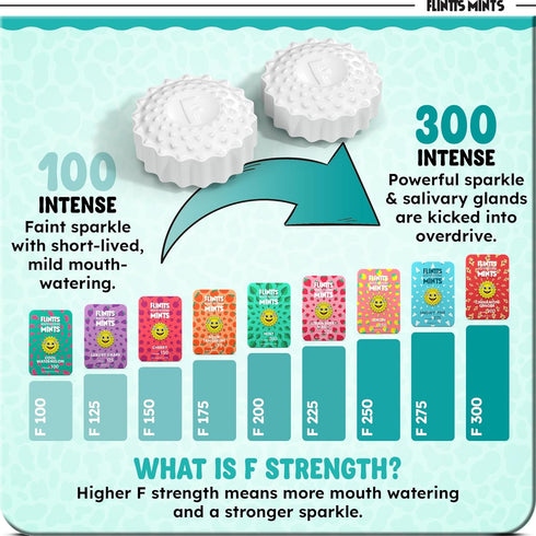Lozenges Flintts Mints Fruit Troop Sugar Free Mouthwatering Mints for Dry Mouth Relief & Freshness Vegan Oral Health