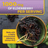 Viva Naturals Elderberry with Vitamin C and Zinc for Adults - 5 in 1 Sambucus Black Elderberry Capsules with Vitamin D3