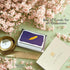 SETTINI Cards,18 Pack 9 6" 4" Blank Note All Occasion Assorted Greeting Cards, Gold Foil Designs with Stickers