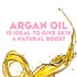 OGX Radiant Glow + Argan Oil of Morocco Body Wash, Moisturizing Gel Cleanser for Dry Skin, 19.5 fl oz
