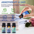 Essential Oils for Laundry, 100% Pure Aromatherapy Oils for Diffusers, 6x10ml Clean, Wool Dryer Balls