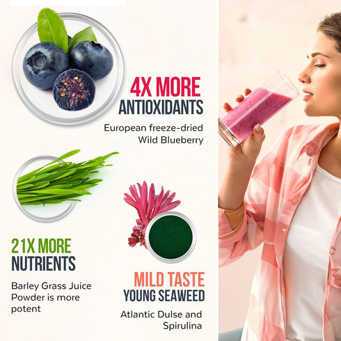 Numami Organic Detox Blueberry Smoothie Powder with Healthy Spirulina, Atlantic Dulse and Barley Grass Juice Powder