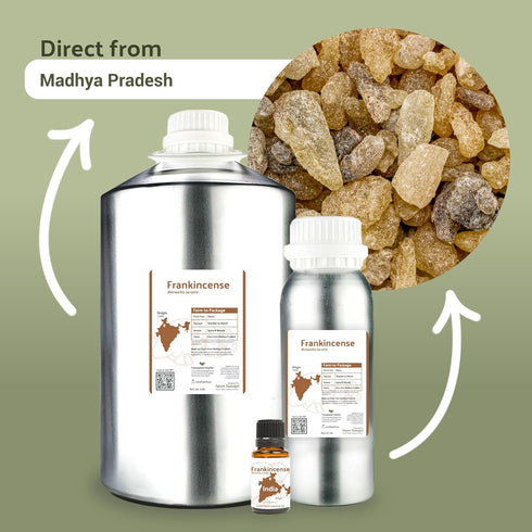 Frankincense Essential Oil - Direct from Madhya Pradesh, India - Pure Essential Oil for Diffusers and Aromatherapy | 100% Pure Therapeutic Grade (15ml)