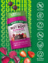 Nature's Truth Beet Root Gummies, 60 Count - Vegan, Non-GMO, Gluten Free, Super Food Supplement