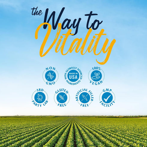 Vitalitown Probiotics + Prebiotics - 60 Billion CFUs, 19 Strains, 60 Delayed Release Veg Caps for Digestive Health