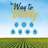 Vitalitown Probiotics + Prebiotics - 60 Billion CFUs, 19 Strains, 60 Delayed Release Veg Caps for Digestive Health