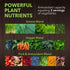 PlantFusion Fruitful Super Greens Powder, Fermented Juice Blend with Digestive Enzymes, Organic, Vegan, 8.46 oz, 30