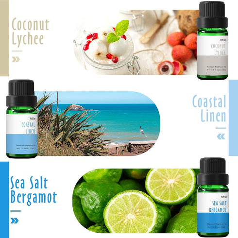 Beach Fragrance Oil, MitFlor Premium Scented Oils for Diffuser, Summer Aromatherapy Essential Oils Set