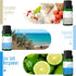 Beach Fragrance Oil, MitFlor Premium Scented Oils for Diffuser, Summer Aromatherapy Essential Oils Set