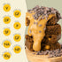 Pack, 8 SEND Bars Plant-Based Vegan Healthy Protein Bars, With Greens (Variety Bars) Only Real Ingredients, Zero Added