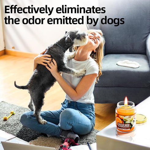 MicCai 99% Set Orange & Vanilla Odor Eliminating Candles for Home Scented, Eliminates of Pet, Smoke, Food and Other
