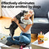 MicCai 99% Set Orange & Vanilla Odor Eliminating Candles for Home Scented, Eliminates of Pet, Smoke, Food and Other