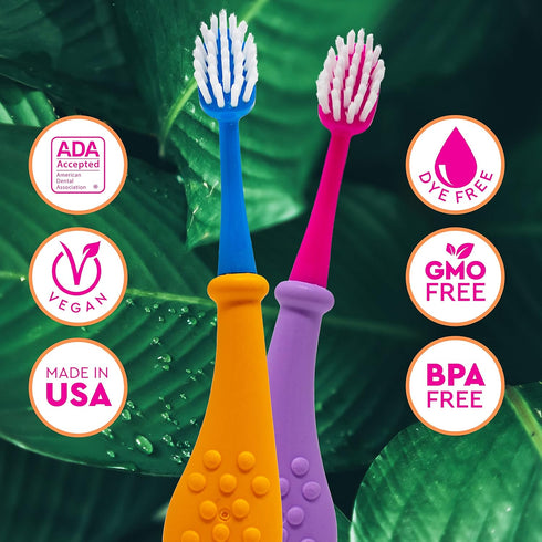 RADIUS Big Kidz Forever Brush with Replaceable Head Toothbrush for Children 6 Years and Up, BPA Free, Extra Soft