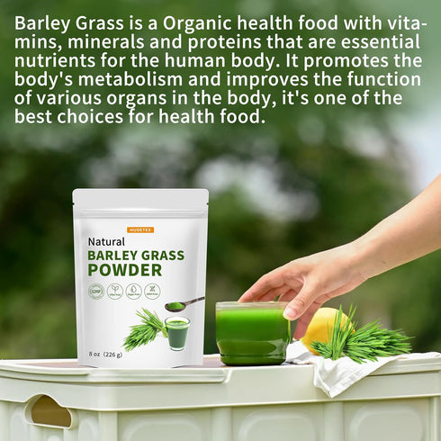 Hudetex Sugar-Free8 oz Barley Grass Juice Powder Rich in Chlorophyll & Natural Nutrients, Barley Grass Powder