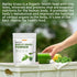 Hudetex Sugar-Free8 oz Barley Grass Juice Powder Rich in Chlorophyll & Natural Nutrients, Barley Grass Powder