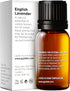 Gya Labs English Lavender Essential Oil for Diffuser - 0.34 Fl Oz - 100% Pure Natural Oil for Skin, Hair & Candle Making