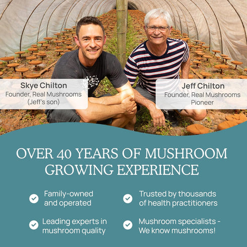 Real Mushrooms Vitamin D2 - 120 ct, Vegan Vitamin D Supplements, 1000 IU for Bone & Muscle Health