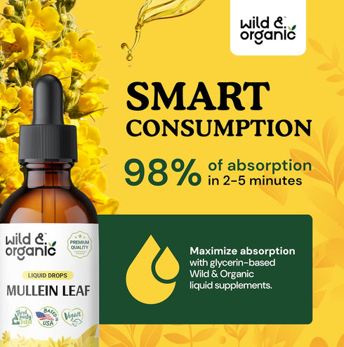 Mullein Leaf Tincture - 2 fl oz Organic Drops for Lung Detox & Health - Vegan Liquid Extract Supplement
