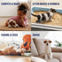Bioesque Advanced Stain + Odor Remover, Pet-Friendly Natural Formula for Carpets and Hard Floors (32 Fl Oz)