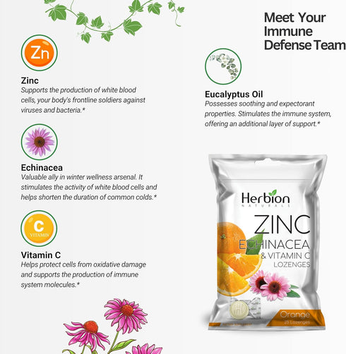 Herbion Naturals Zinc, Echinacea & Vitamin C Lozenges - 25 CT, Dietary Supplement for Adults & Children 5+, Promotes