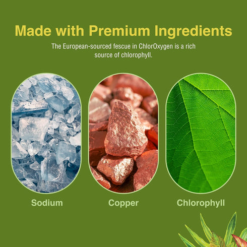 Herbs Etc. ChlorOxygen Chlorophyll Concentrate, 2 fl oz, Energy Support