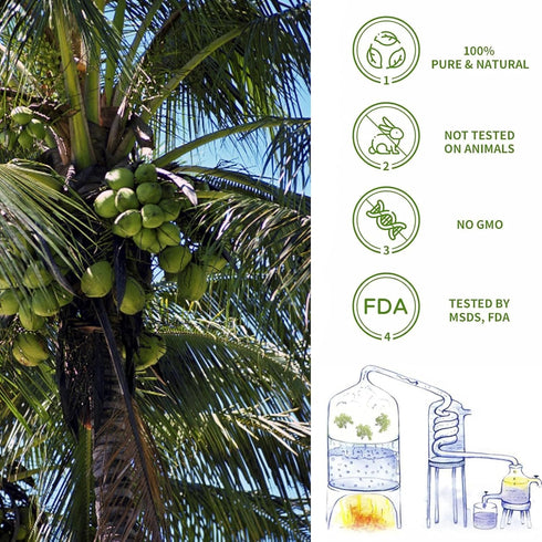 yethious Coconut Fragrance Oil - 100ML, Essential Oil for Diffuser, Candle Making, Soap, Home Aromatherapy - 3.38 Fl Oz