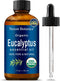 Organic Eucalyptus Essential Oil 30 ml - Pure Natural Oil for Diffuser, Sauna, and Aromatherapy